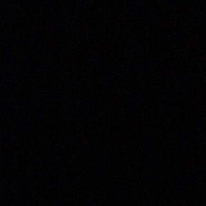 Meet your Posher, Will